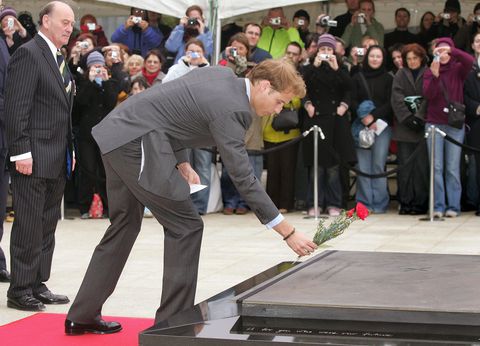 Britain's Prince William lays a poppy on