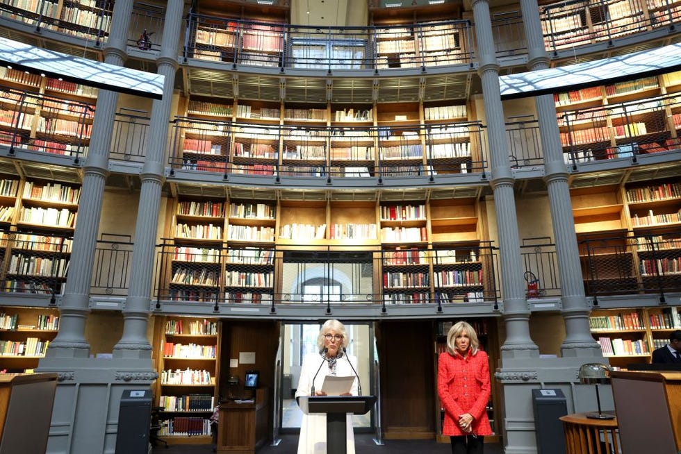 King Charles makes historic speech at French senate