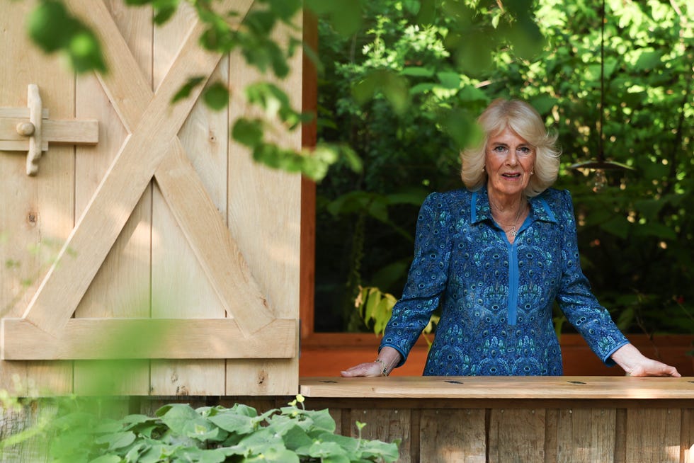 the king and queen and other members of the royal family visit the rhs chelsea flower show