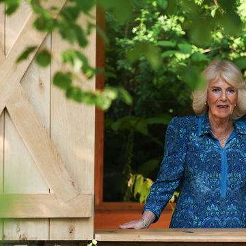 the king and queen and other members of the royal family visit the rhs chelsea flower show