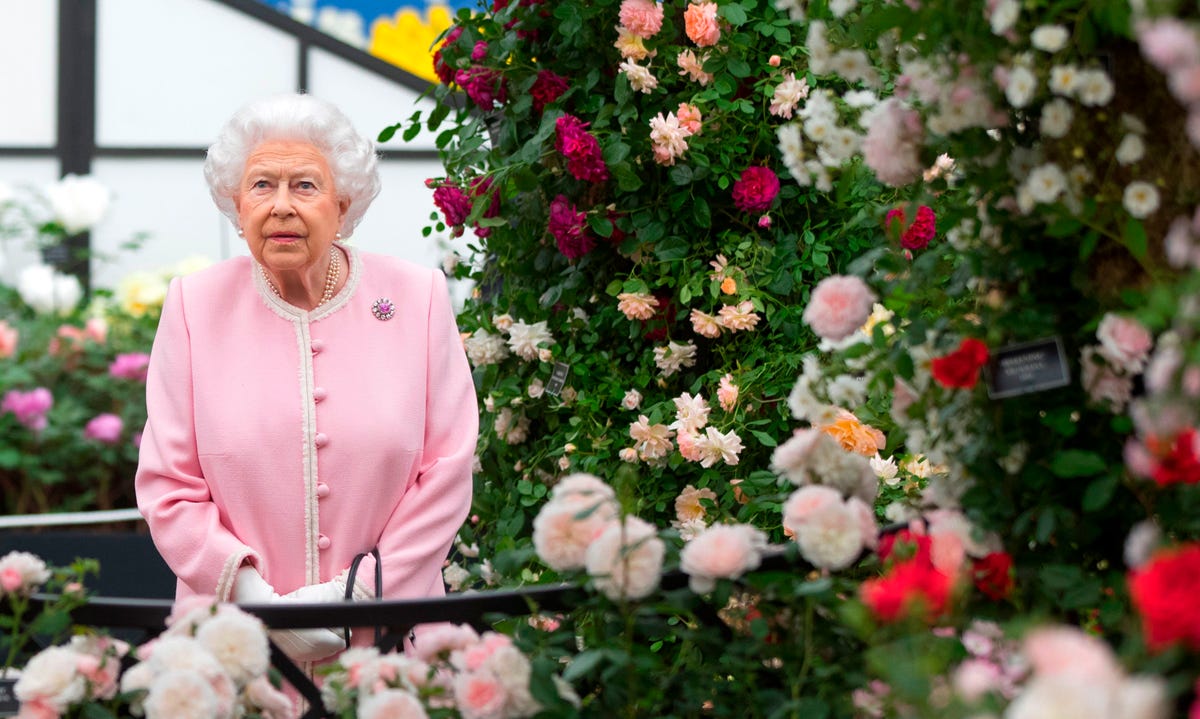 Virtual Chelsea Flower Show 2020: Royals Reveal Favourite Flowers