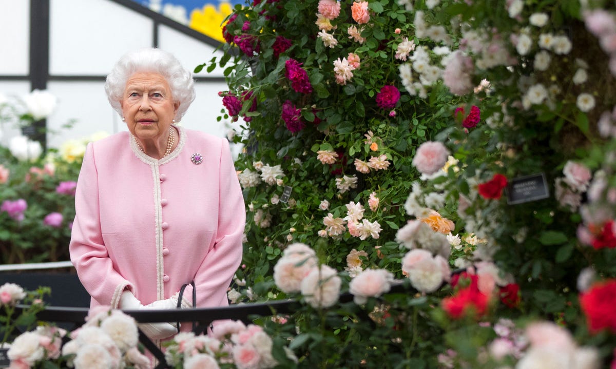 Lily Of The Valley Meaning, Symbolism And Connection To The Queen