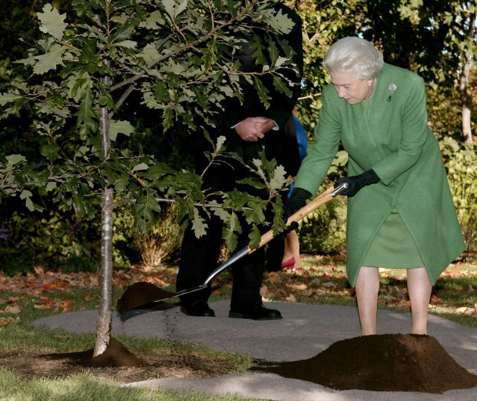 britain's queen elizabeth ii shovels earth onto an