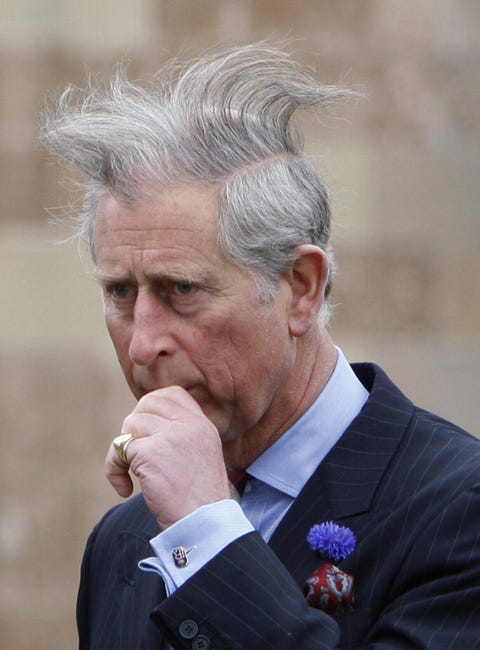 britian's prince charles walks to a gard