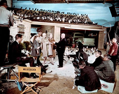 On the set of 'The Birds'