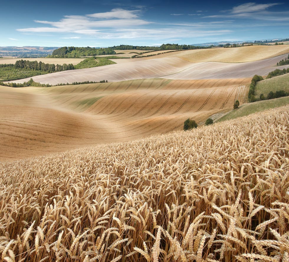 15 Images Of The Glorious British Countryside
