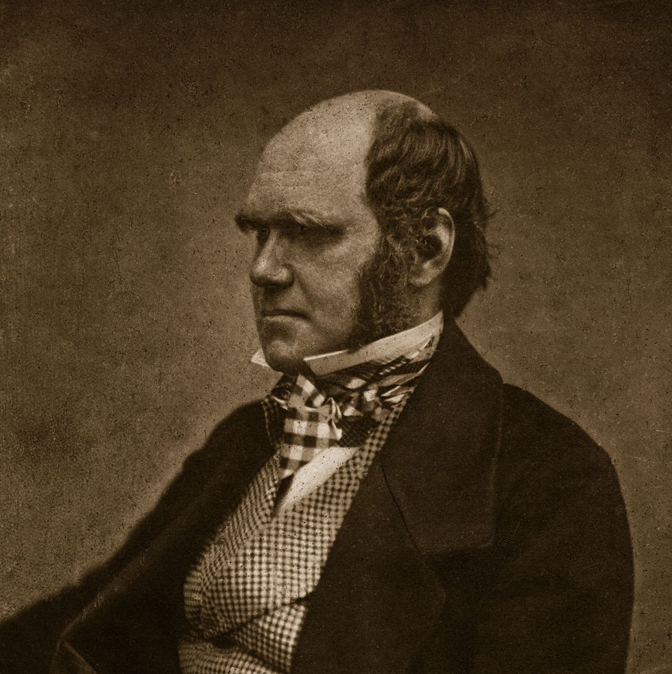 circa 1854: british naturalist charles darwin (1809 1882). (photo by maull & fox/hulton archive/getty images)