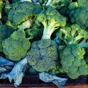 Broccoli Heads broccoli heads