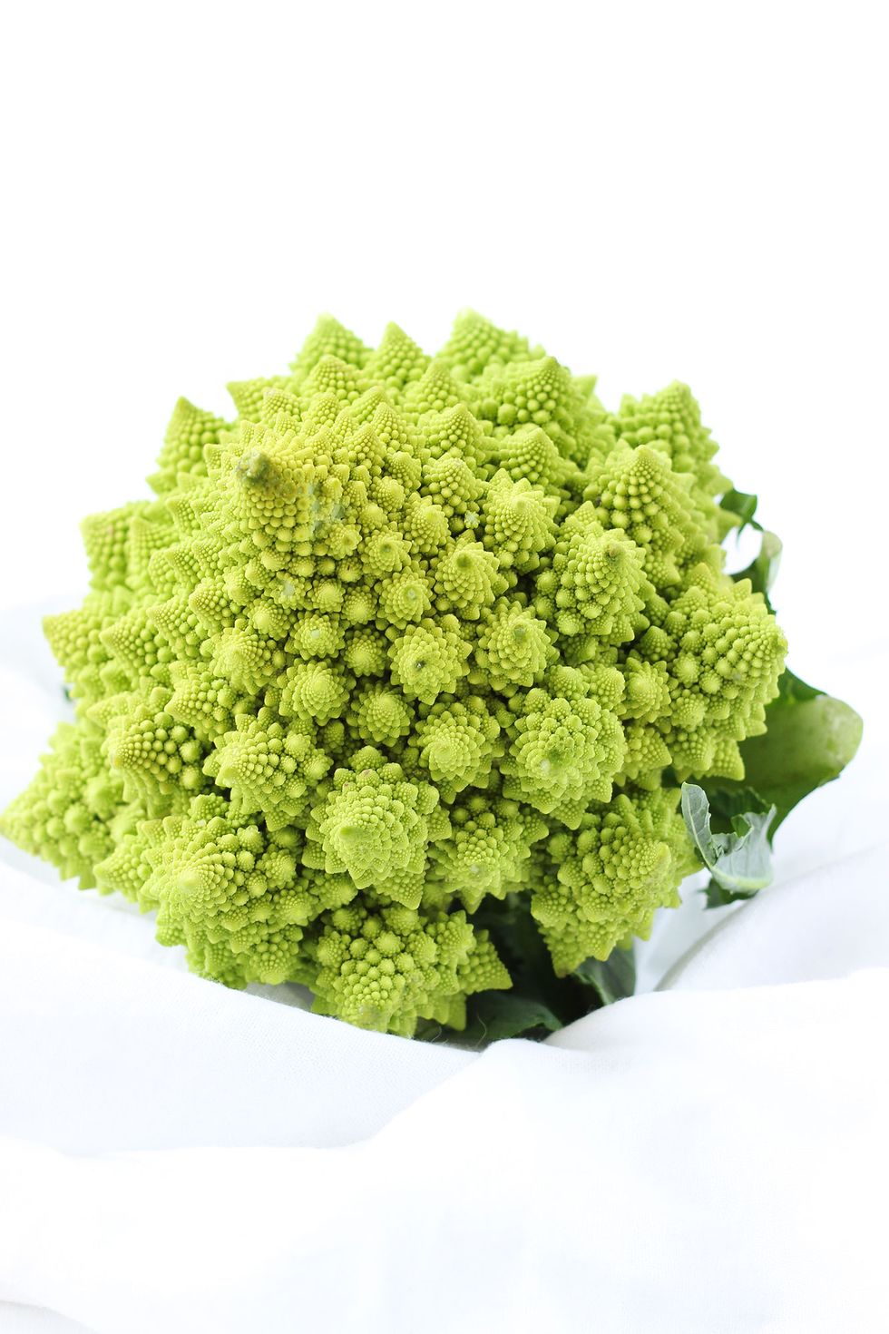 Broccoflower, Broccoli, Flower, Cruciferous vegetables, Plant, Leaf vegetable, Flowering plant, Hydrangea, Annual plant, Viburnum, 