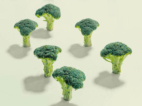 Broccoli, Leaf vegetable, Cruciferous vegetables, Vegetable, Botany, Plant, Broccoflower, Organism, Tree, Plant stem, 