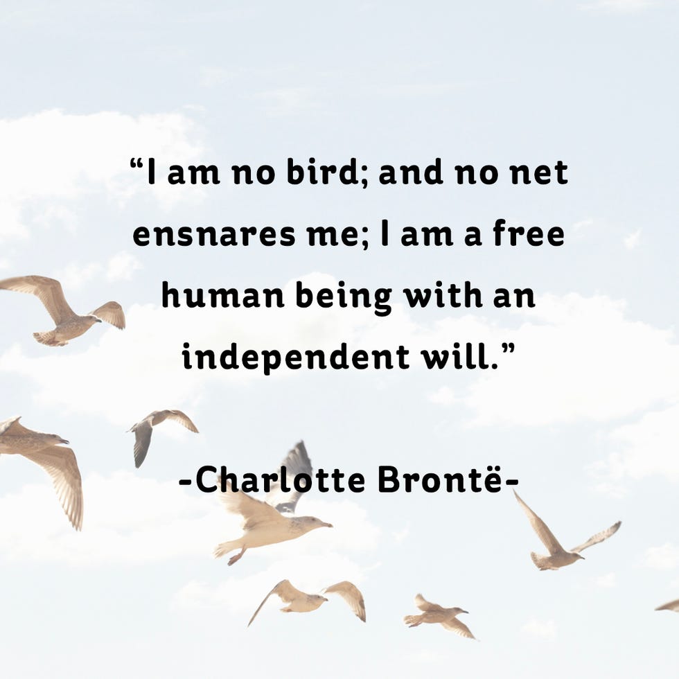 Text, Adaptation, Font, Organism, Bird, Bird migration, Animal migration, Wildlife, Wing, 
