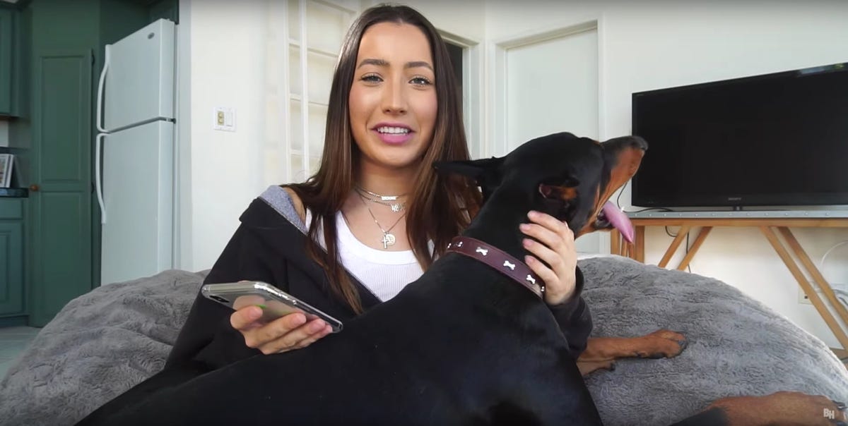 YouTuber Brooke Houts denies animal abuse after Doberman video