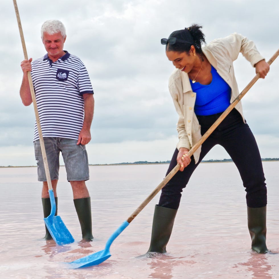 fleur de sel salt marsh