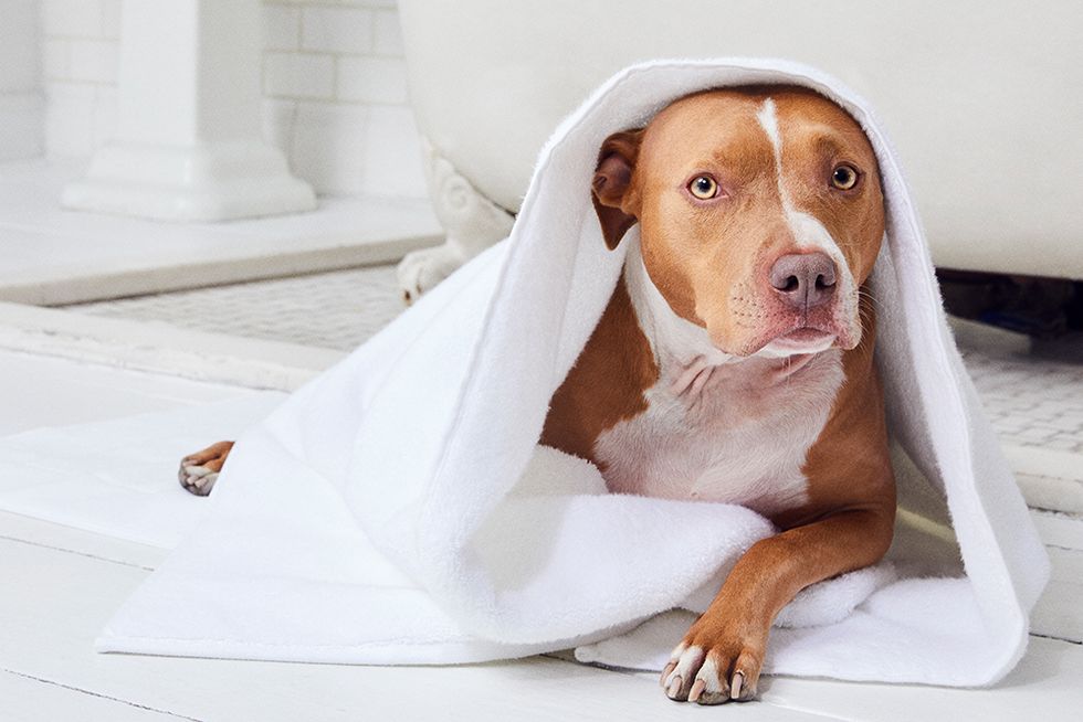 Brooklinen Bath Towel Review: We Tested the Plush Towels for 1 Month —  Here's How They Held Up
