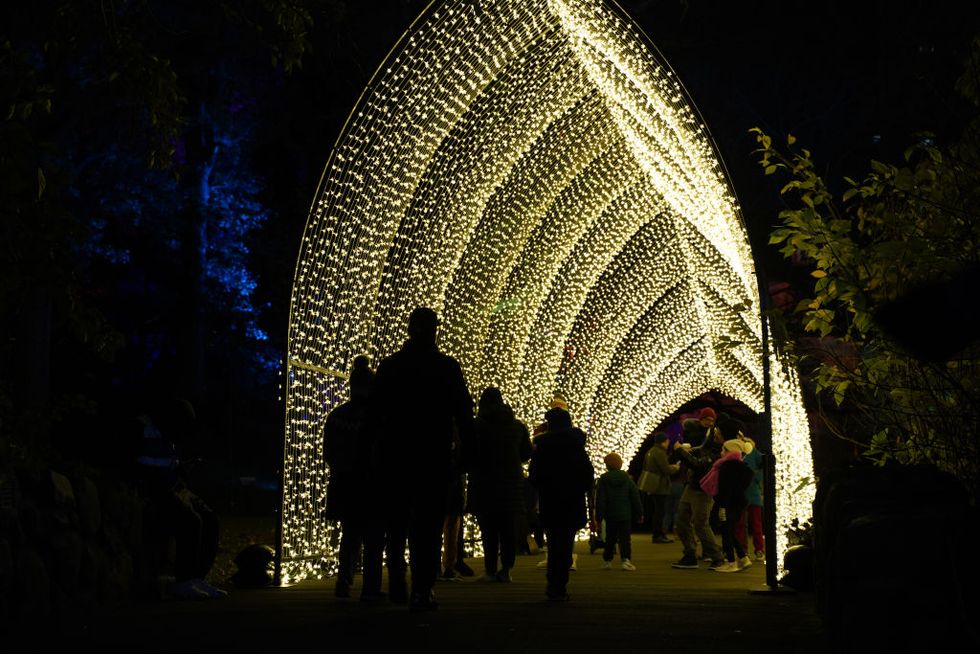 brooklyn botanical garden lightscape show