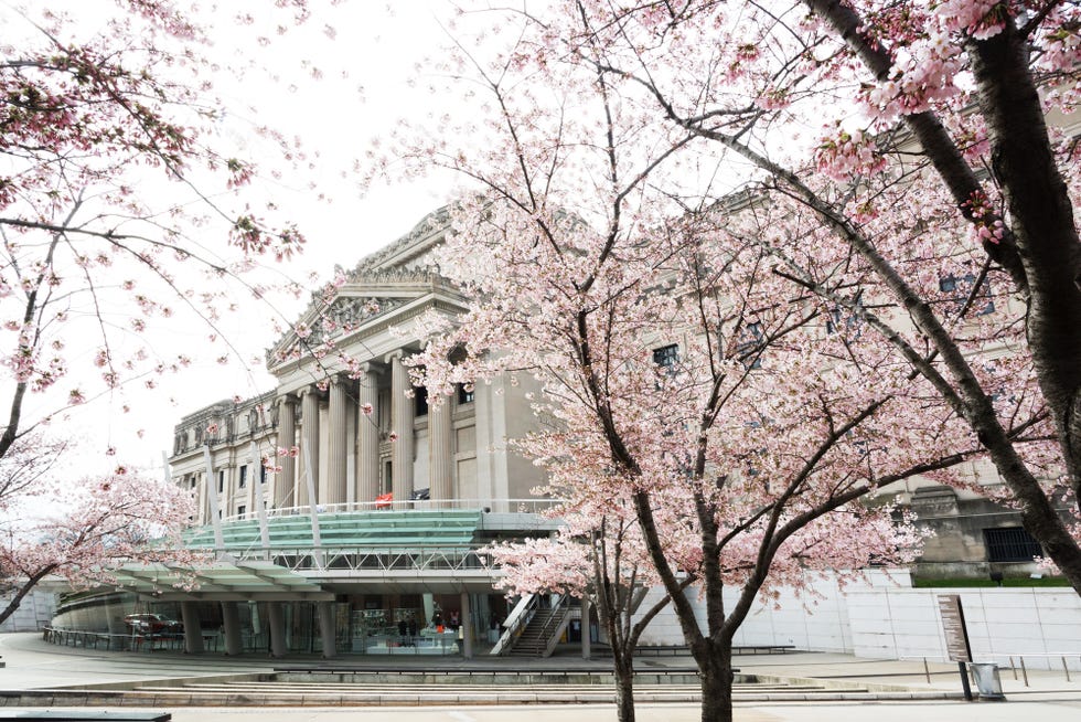 brooklyn museum