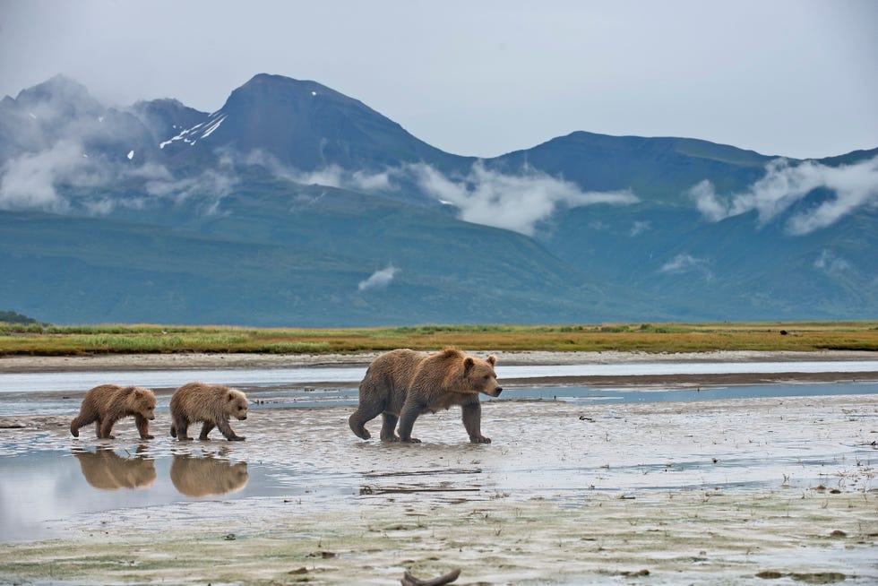 alaska