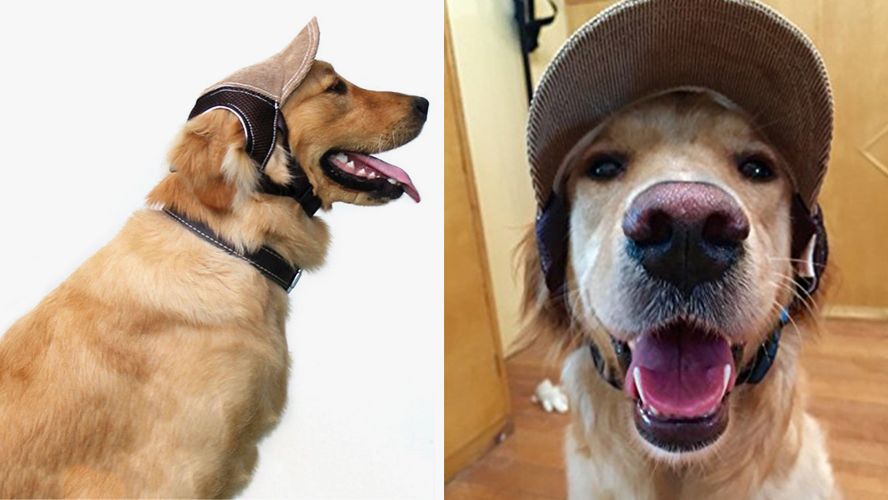 Upgrade Your Dogs Look With This Stylish Brown Sunproof Hat With