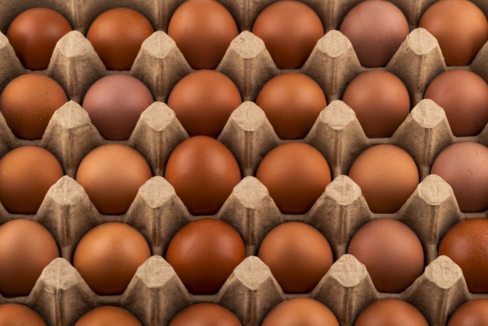 brown eggs on an egg tray