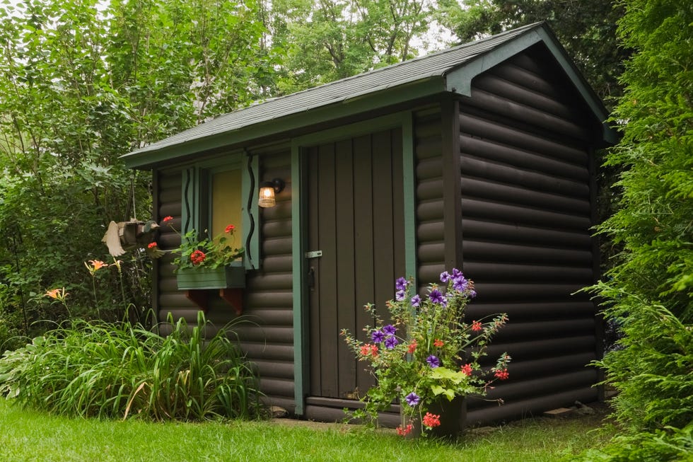 brown painted log garden shed with red geraniums in window box and orange daylilies and planter