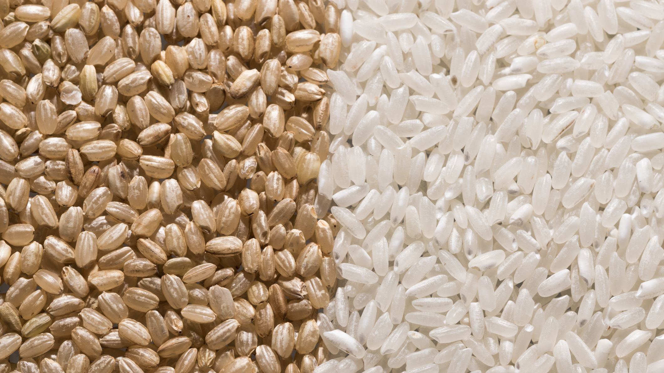 pictures of rice