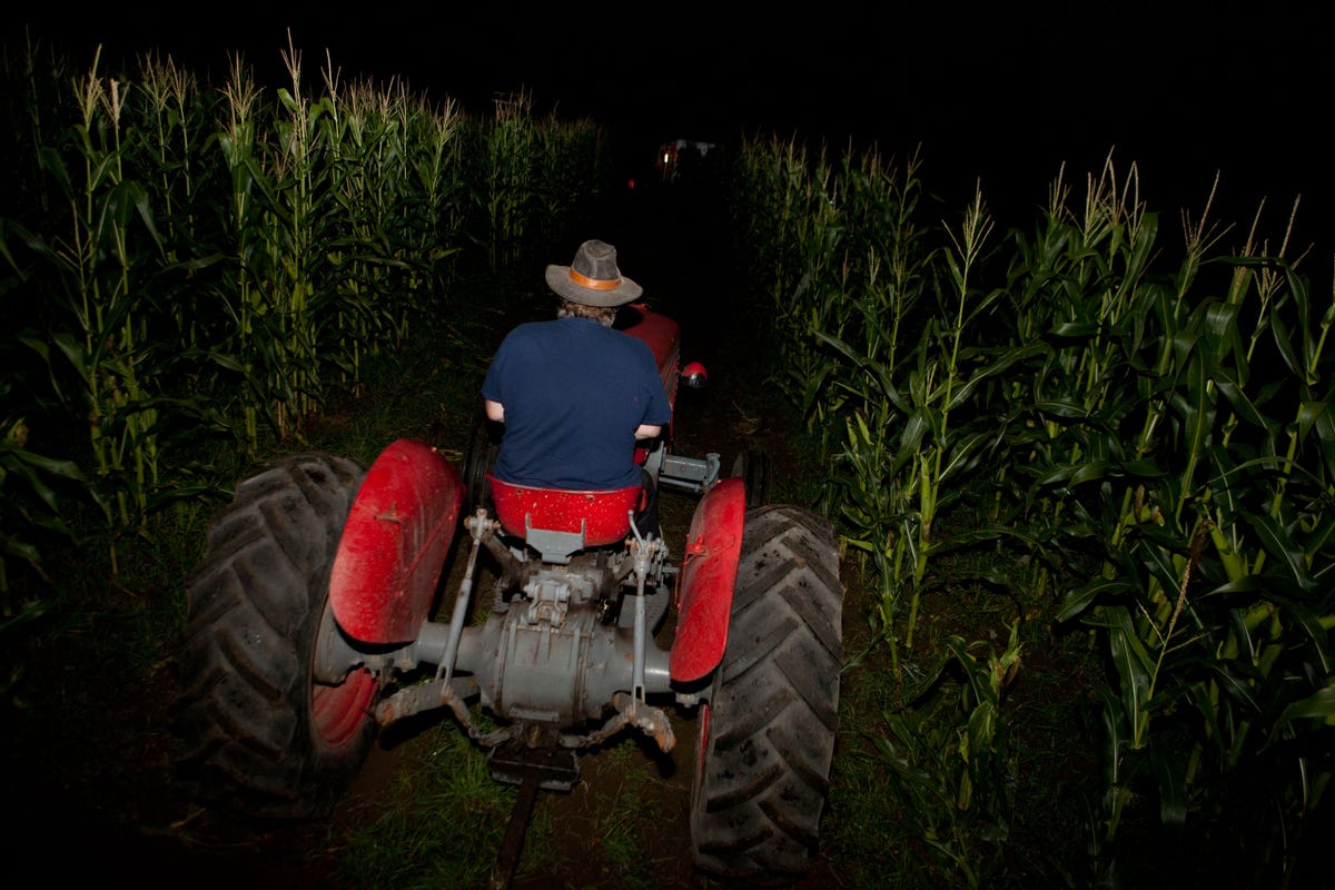 Spooky Night Lights On -Walk-through at Legends of Fear :: Halloween New  England