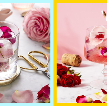 Pink, Drink, Pink lady, Rose, Food, Wine cocktail, Petal, Rose, Garden roses, Champagne stemware, 
