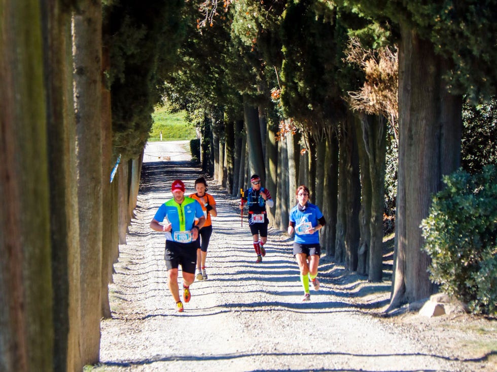 brunello crossing