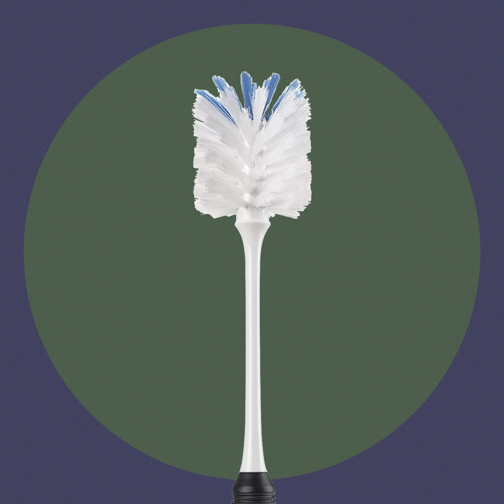 Feather, Leaf, Plant, Grass, Tree, 