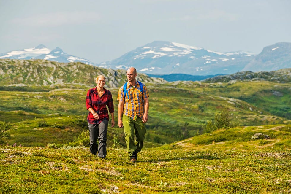 Wandelen in Abisko Nationaal Park