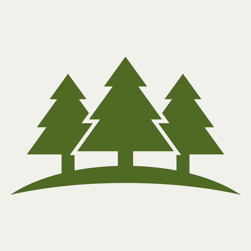 167,650 square miles icon