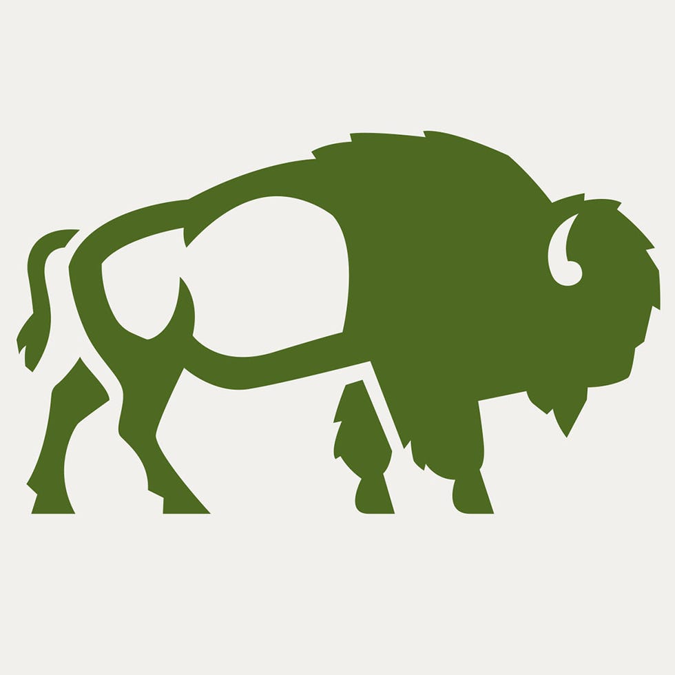 bison