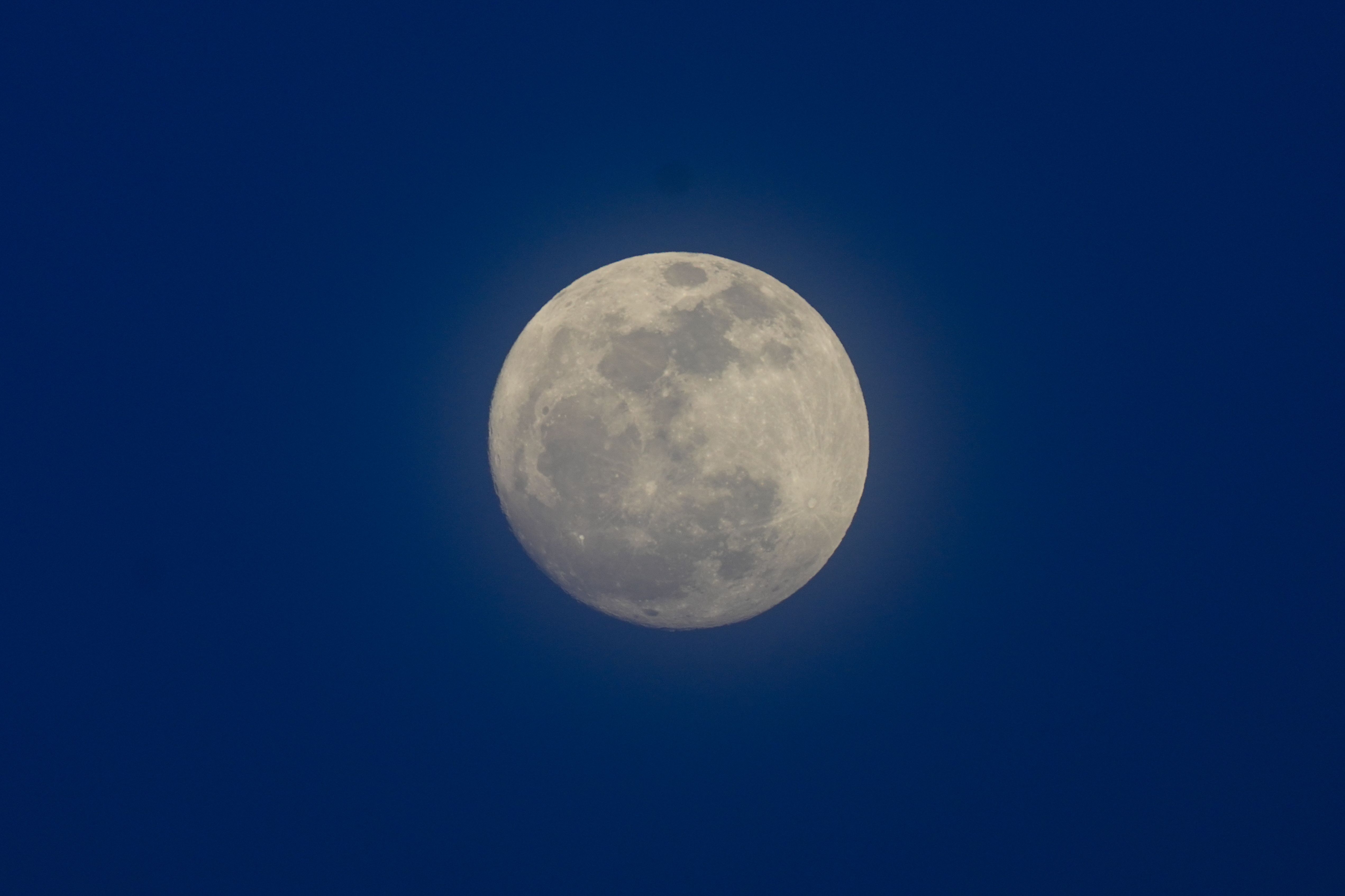 満月購入ページ buck-full-moon-is-appearing-