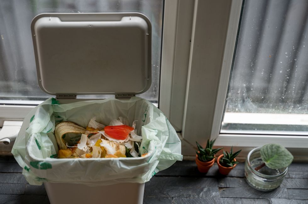 bucket for compostable food waste