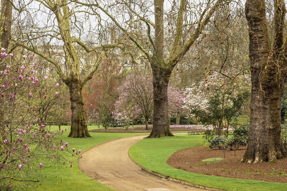 buckingham palace gardens