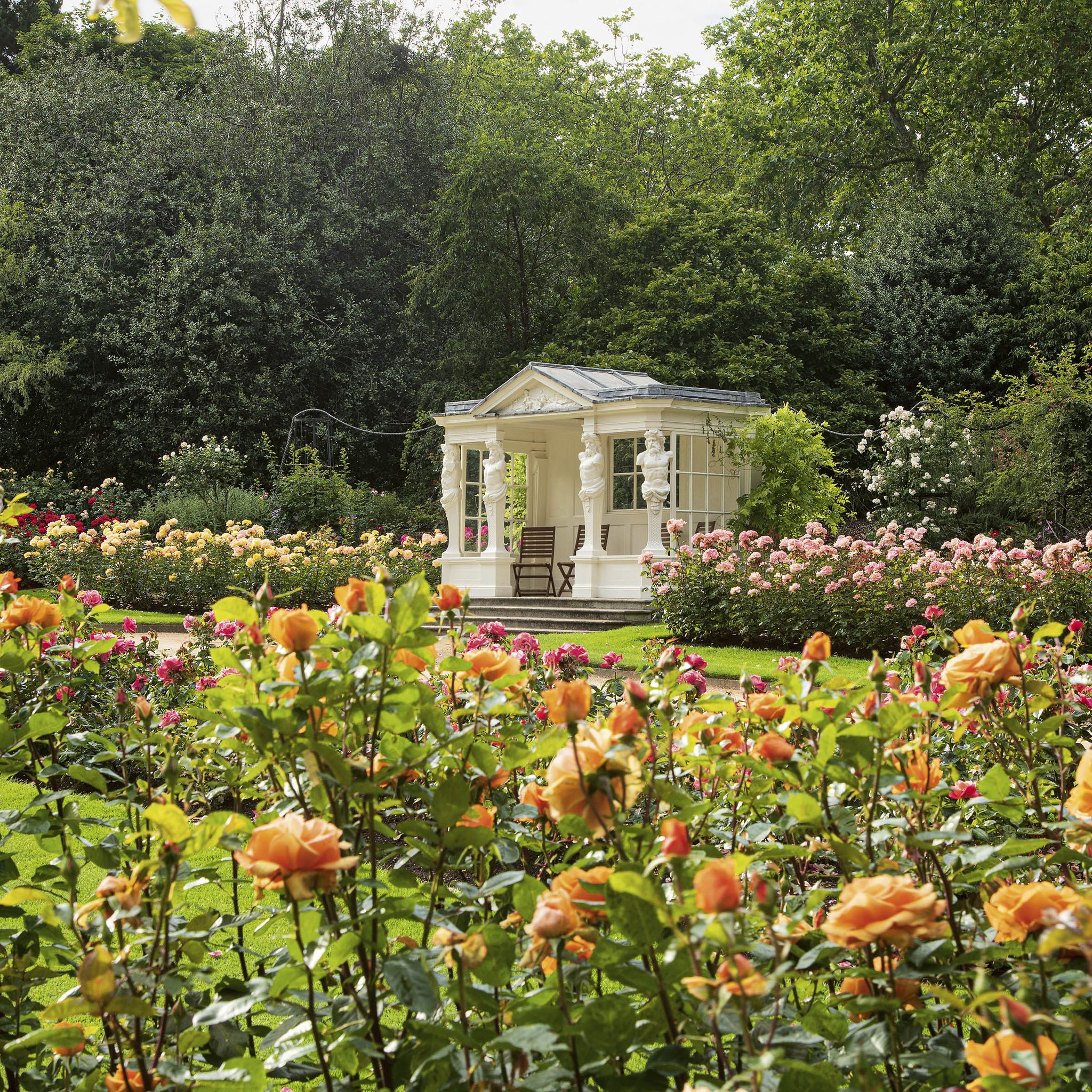 buckingham palace gardens revealed in a new book