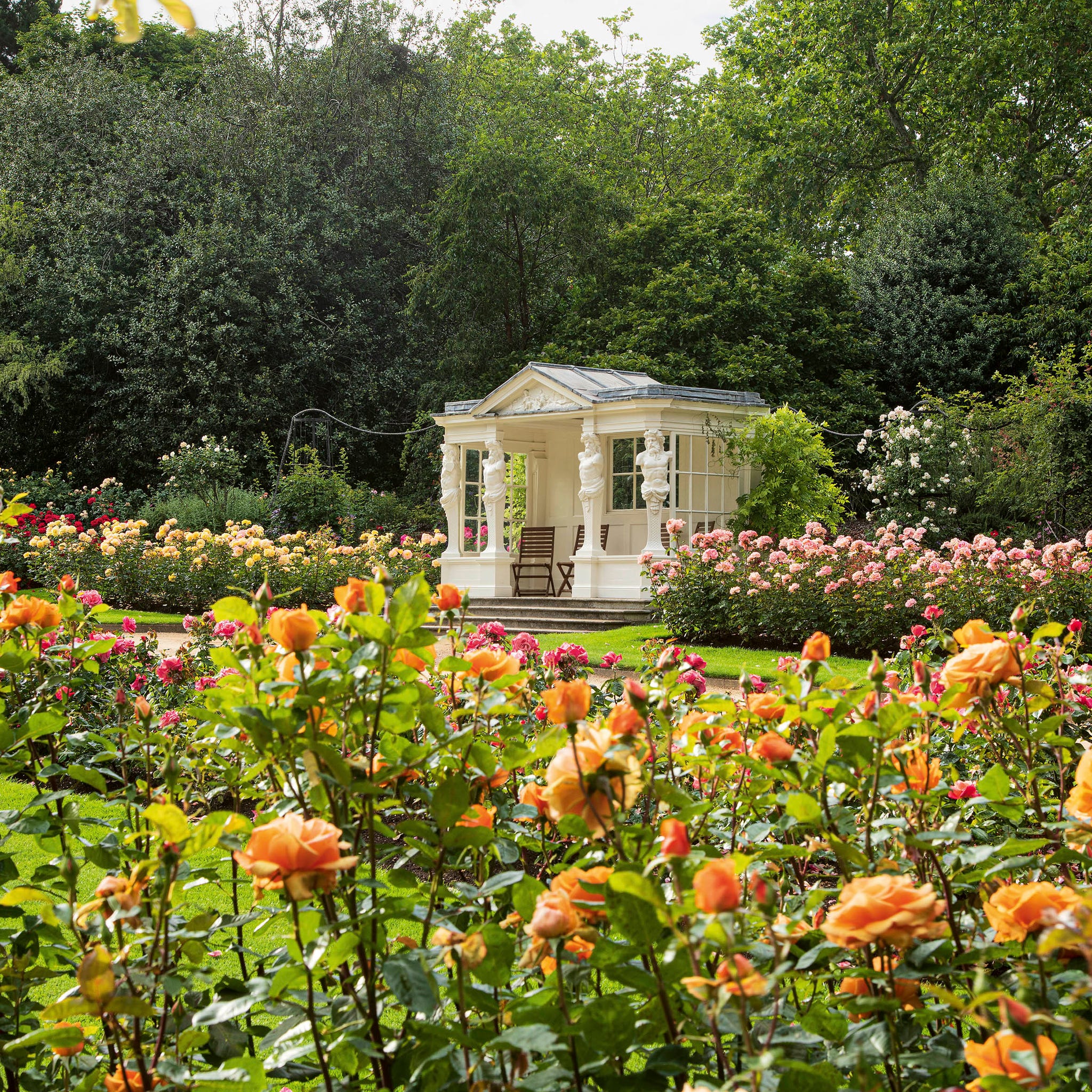 buckingham palace gardens revealed in a new book