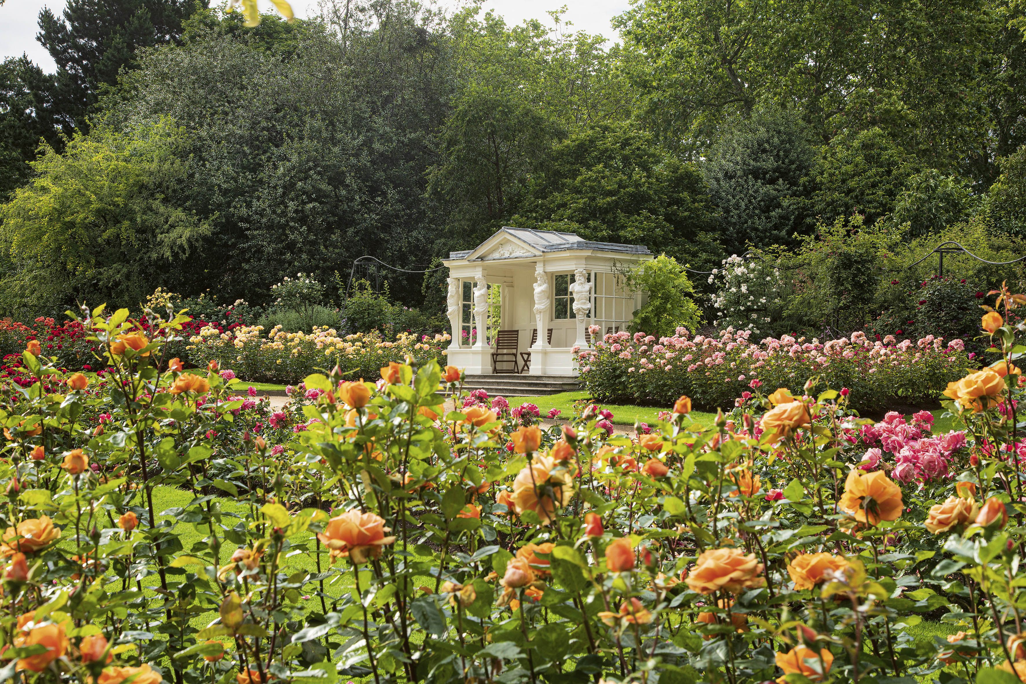 Tour Buckingham Palace's Breathtaking Gardens