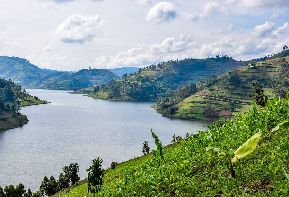A View to Lake Bunyonyi