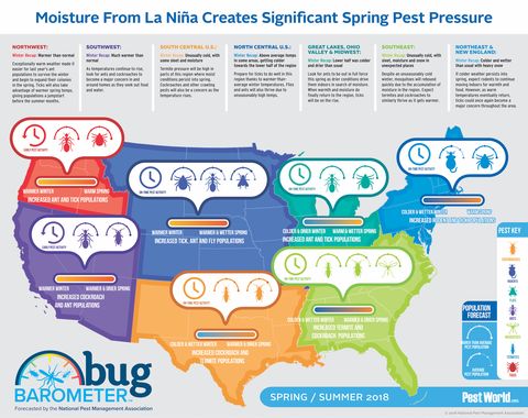 national pest management association bug barometer spring 2018