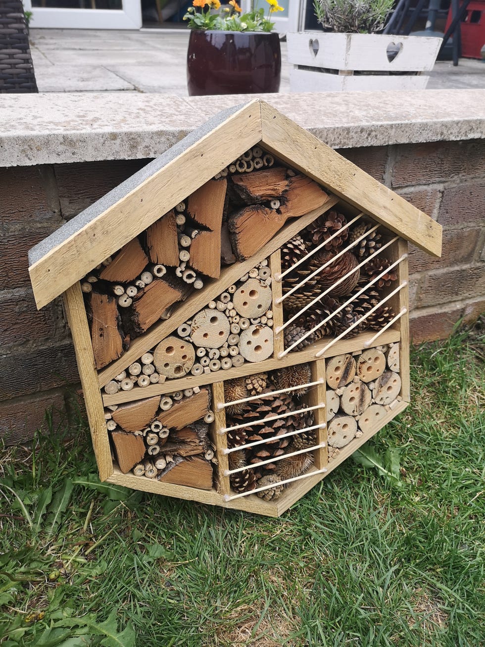 How to make a bug hotel with kids a stepbystep guide