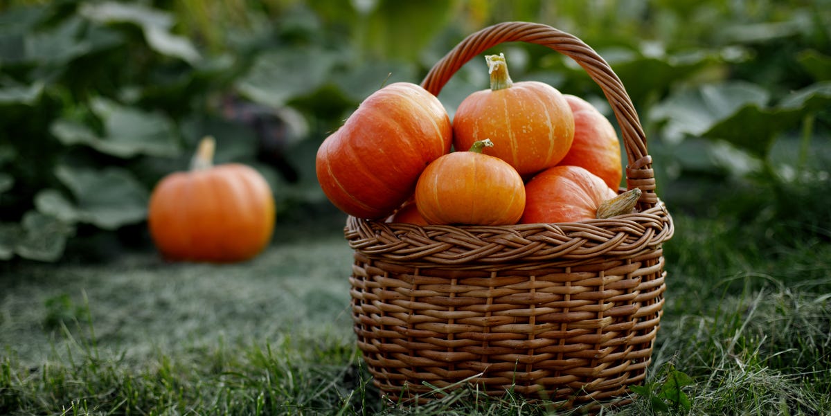 The best boo basket ideas and deals to shop this Amazon Prime Day