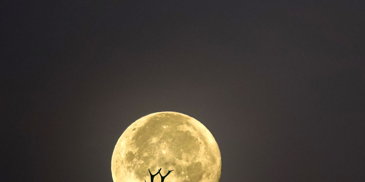 満月購入ページ buck-full-moon-is-appearing-