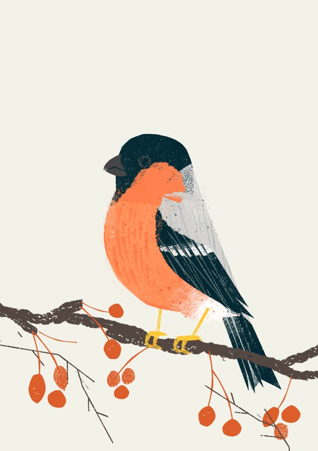 How to keep a nature journal
