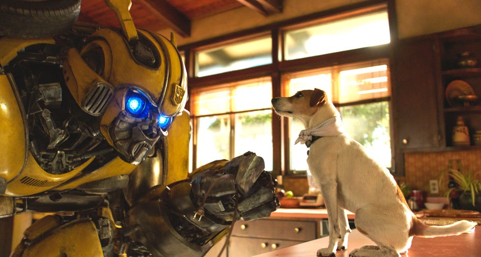 Bumblebee movie