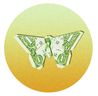 Green, Logo, Illustration, Moths and butterflies, Butterfly, 