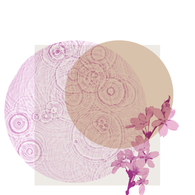Pink, Violet, Circle, Illustration, Plant, Morning glory, Flower, Floral design, 