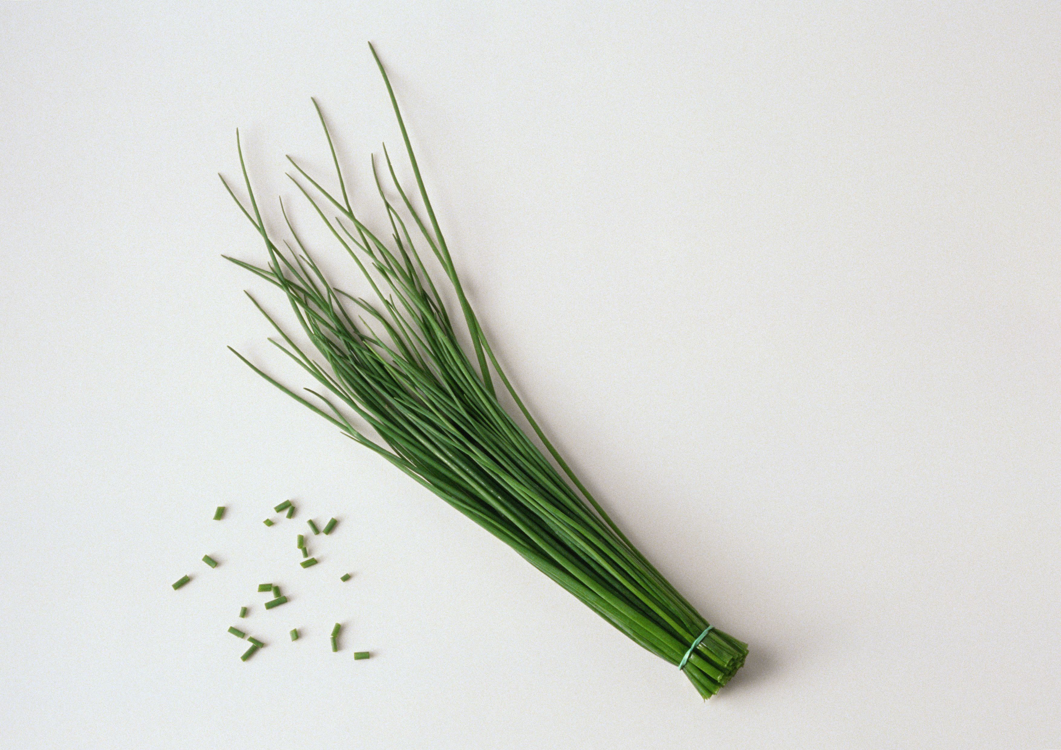 The Difference Between Chives, Scallions, and Green Onions - Escoffier  Online