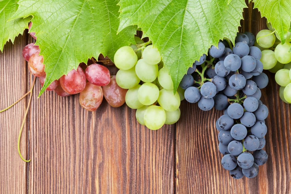 葡萄有助於「降低血壓」