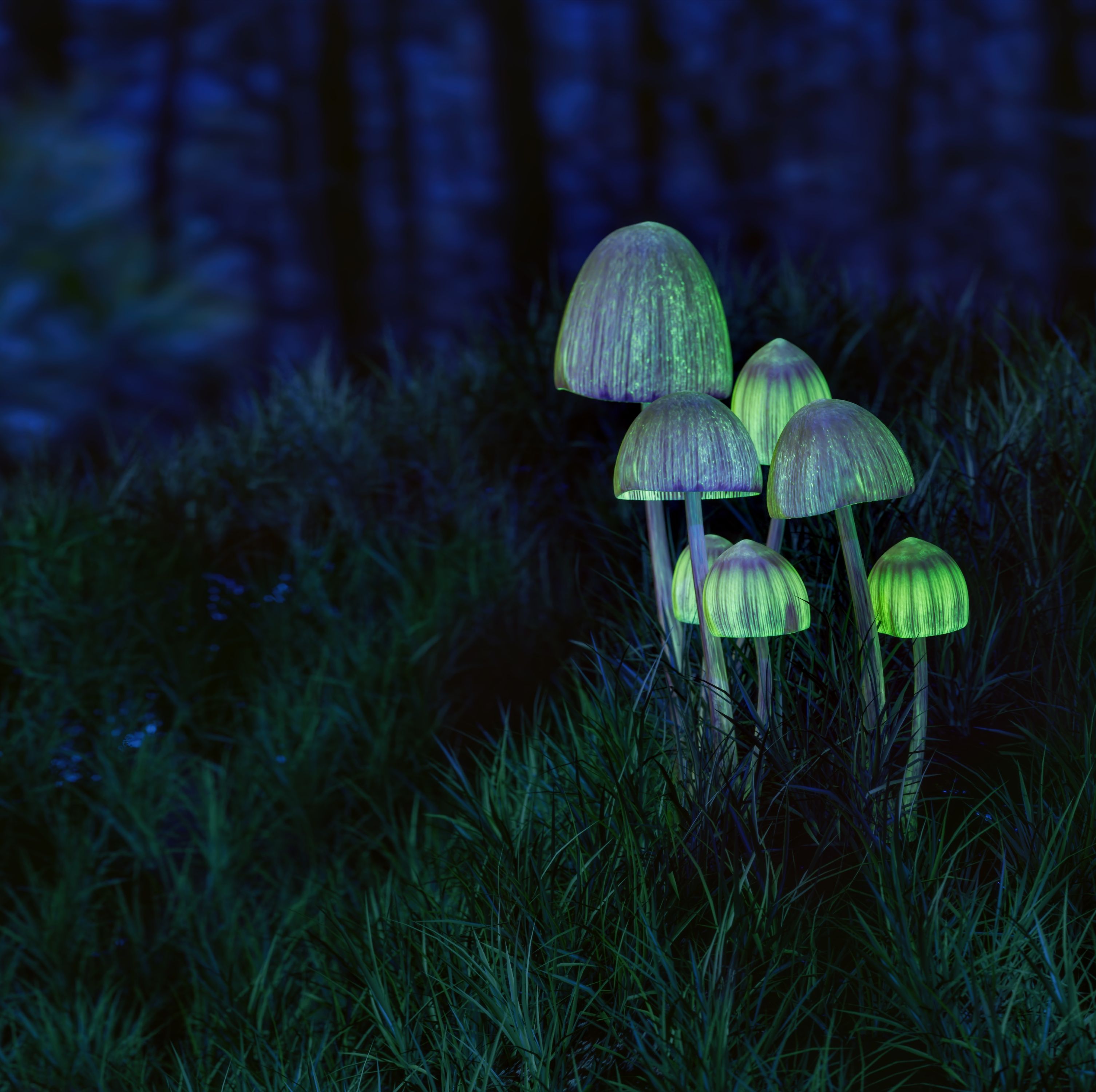 Scientists Finally Found the Psychedelic Source of LSD
